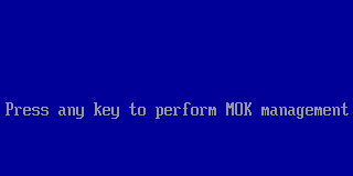Blue screen: Press any key to perform MOK management
